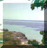 79c.jpg (47489 bytes)